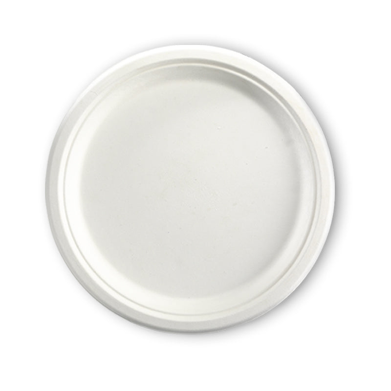 10" Disposable Plate - 50PCS